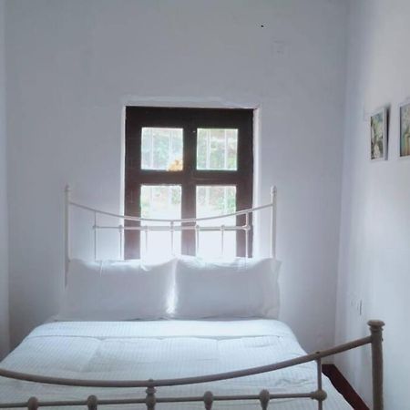 A Quaint Cottage With Rajah'S Seat View. Madikeri Buitenkant foto