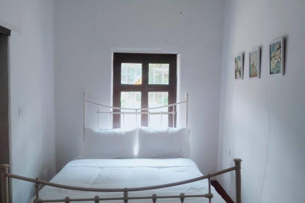 A Quaint Cottage With Rajah'S Seat View. Madikeri Buitenkant foto