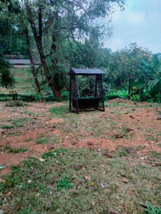 A Quaint Cottage With Rajah'S Seat View. Madikeri Buitenkant foto