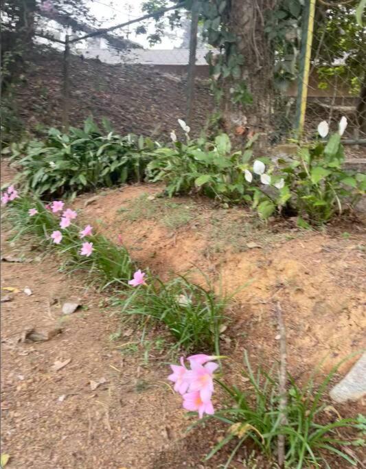 A Quaint Cottage With Rajah'S Seat View. Madikeri Buitenkant foto